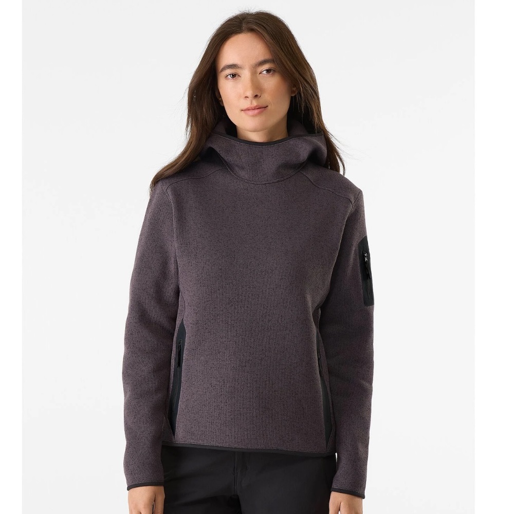 Arcteryx Covert Pullover Hoodie - new with tags